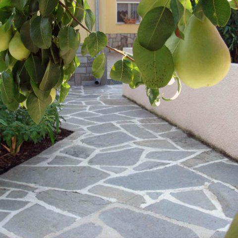 Gångväg vid hus med oregelbundna stenplattor omgärdad av gröna växter och päron på en gren i förgrunden.