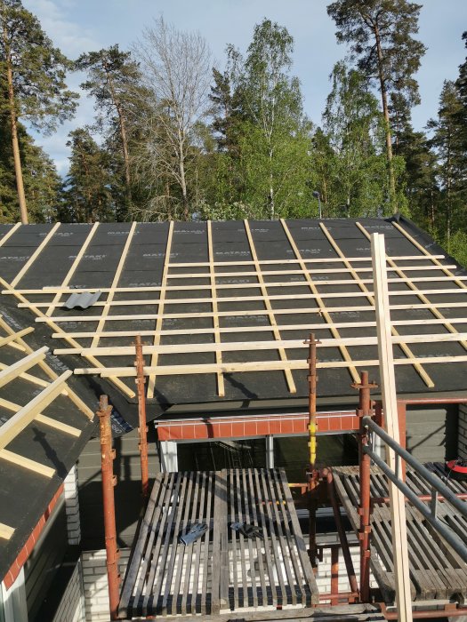 Hus under renovering med läkt på tak med 28 och 18 graders vinkel, tarps och skog i bakgrunden.