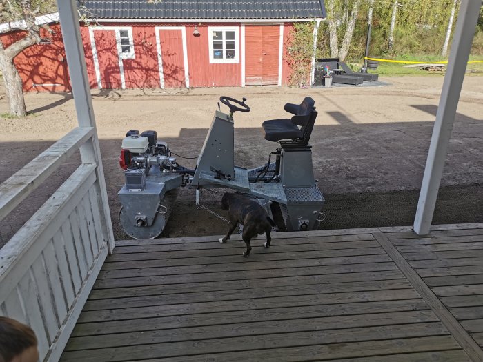 Hund undersöker en liten byggmaskin på en träveranda, med röd byggnad och träd i bakgrunden.