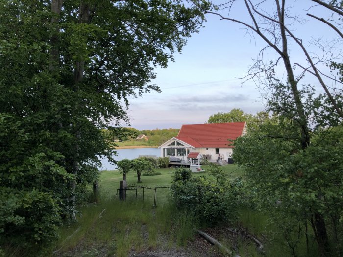 Vy från skogsglänta mot hus med rött tak och veranda vid sjö i skymningen.