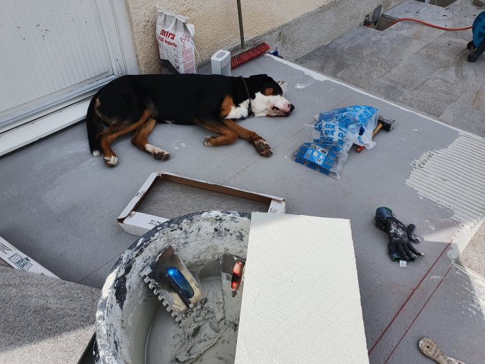 Hund vilar på halvlagt klinkergolv med byggmaterial och verktyg runt omkring.