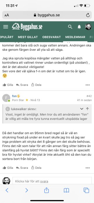 Skärmdump från diskussionstråd på byggforum med text och användarprofil inkluderande smeknamnet "Porn Star".