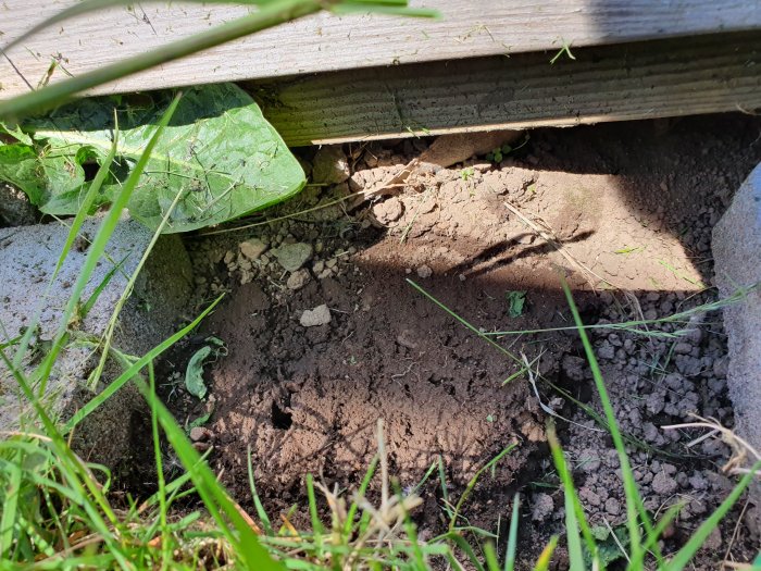 Markyta intill en träaltan med synlig jord, grus och delvis borttagen marksyning, nära gräs och lövverk.