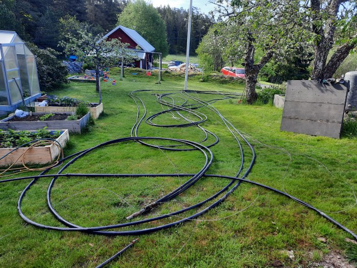 Trädgård med långa utdragna PEM-slangar på gräset, växthus och röd stuga i bakgrunden.