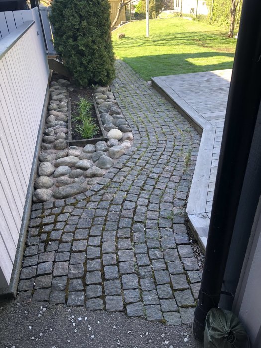 Gångväg med kullerstenar och stenmjöl, angränsande gräsmatta och plantering, med sopsäck och sopborste.