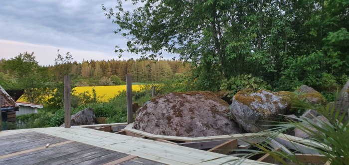 Utbyggnad av en träaltan med olikfärgade brädor nära stora stenar, utsikt över ett gult blommande fält och skog i bakgrunden.