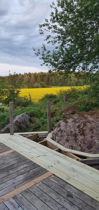 Altan under utbyggnad med nya träbrädor bredvid äldre, väderbitna, med utsikt över en blommande rapsfält.