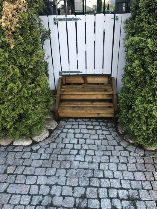Ny målad träaltantrapp mellan två buskar med en stängd grind och kullerstensbelagd gångväg.