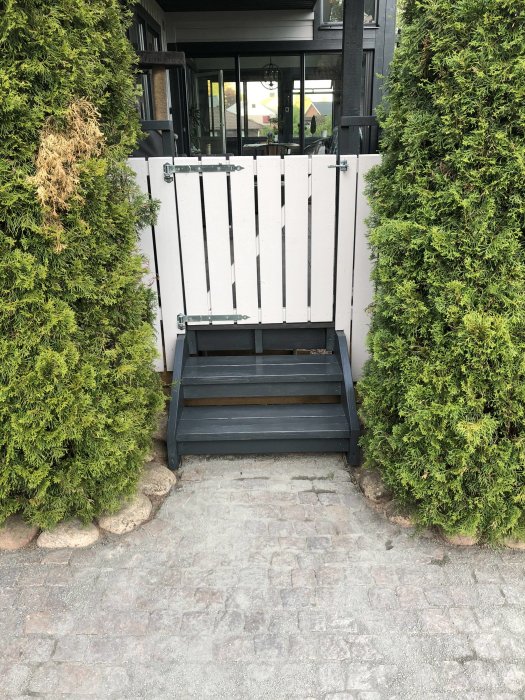 Nymålad altantrapp i grått mellan två gröna häckar med staket och glasdörr i bakgrunden.