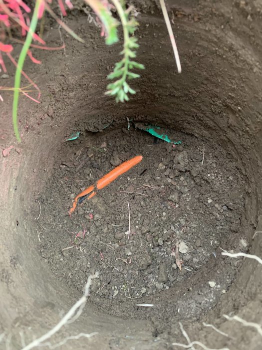 Skadat ytterhölje på fiberkabel exponerat i ett stolphål med jord och små rötter runtomkring.