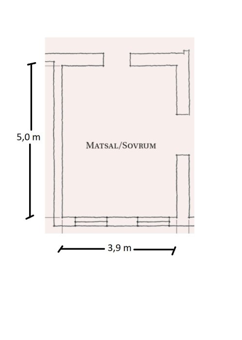 Handritad skiss av ett rum indelat i två mindre rum, med dimensionerna 5,0 och 3,9 meter angivna.