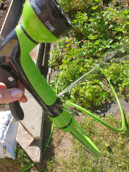 Grön vattenslang med en handhållen munstycke som läcker vatten i en trädgård.