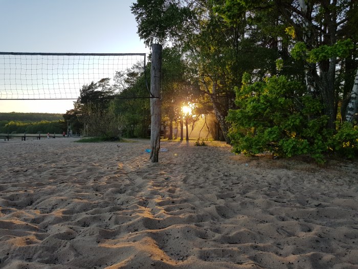 Solnedgång över en öde volleybollplan på stranden med träd i bakgrunden.