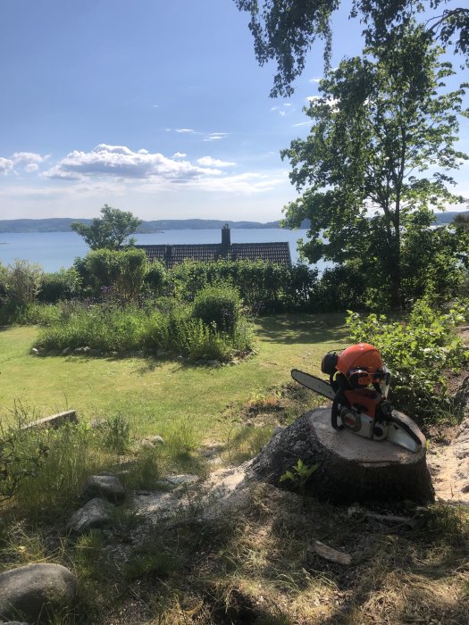 Motorsåg märket Stihl på trädstubbe framför sjöutsikt och grönskande trädgård under blå himmel.