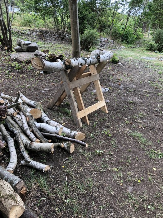 En hemmagjord träbaserad sågbock som håller upp en björkstam för kapning utomhus.