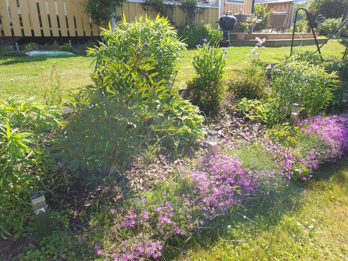 Välvårdad trädgård med frodig växtlighet, blommor, grönt gräs och dekorativa trädgårdslampor i dagsljus.