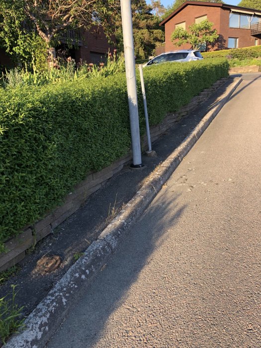 Smala stolpar vid kant av häck nära en trottoar och tomtgräns, i soligt bostadsområde.