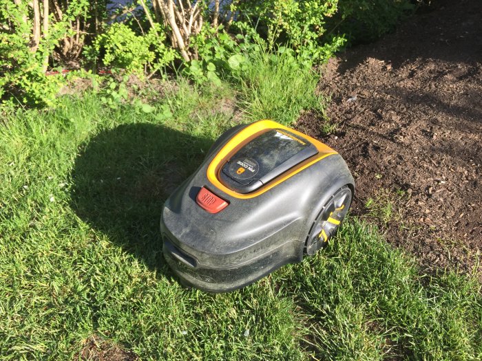 Svart och gul robotgräsklippare på ett gräsmatta nära jord och växter som liknar en humla.