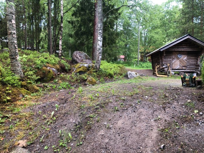 En obehandlad gård med stig som leder mot en timmerstuga, omgiven av grus, gräs, och skog.