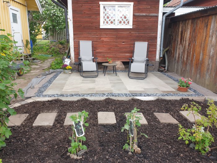 Nyrenoverad trädgård med plattlagd uteplats, solstolar, gångväg och nyanlagda planteringar framför röd stuga.