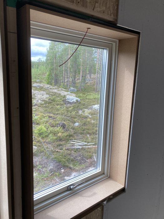 Utsikt genom ett fönster under konstruktion i ett loft med skogsbakgrund.