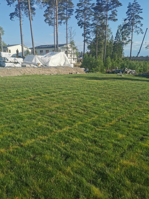 Nyklippt gräsmatta med synliga linjer från gödsel, byggmaterial i bakgrunden.