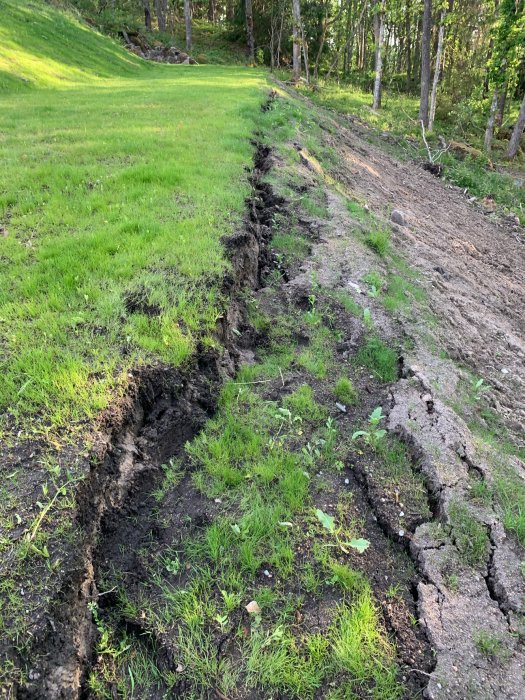 Erosion i slänt med grästäckt yta ovanför och sprickor i jorden.