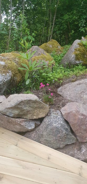 Nybyggd altan i förgrunden med en naturträdgård och stora stenar i bakgrunden.