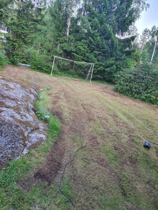 Vertikalskuren gräsmatta med tydliga ränder och ett fotbollsmål i trädgården.