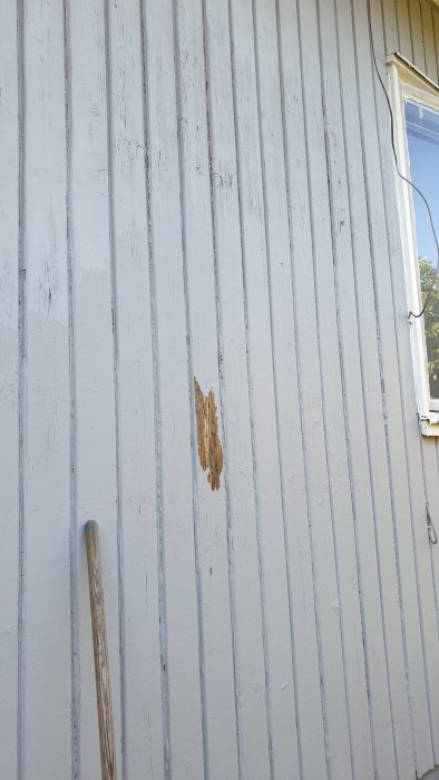 Sliten träfasad med vit färg som flagnar, tydliga sprickor och en bit där träet är synligt.