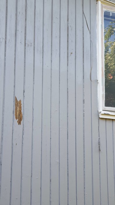 Bild på en grå träfasad med synliga sprickor och skalningar i färgen, samt en bit av fasaden där träet är blottat.