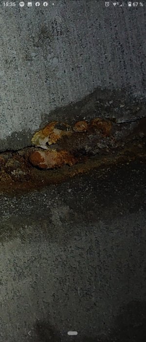 Bruna och brunröda påväxter med vit kant på en fuktig väggyta, misstänkt hussvamp eller mineralutfällning.
