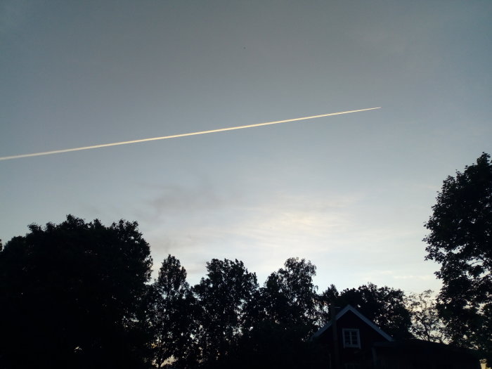 Flygplansavgaser i form av kondensstrimma över kvällshimmel, trädkronor och hus i silhuett.