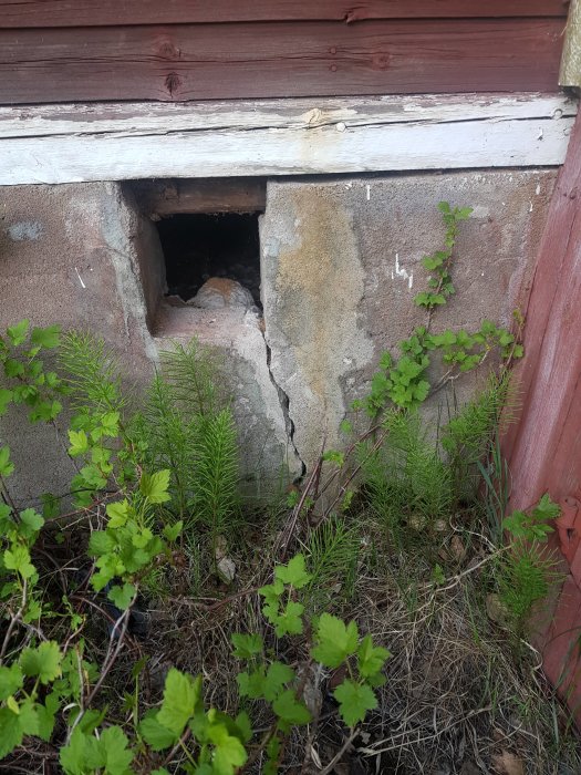 Skadad torpargrund med sprickor och växtlighet vid gammalt trähus.