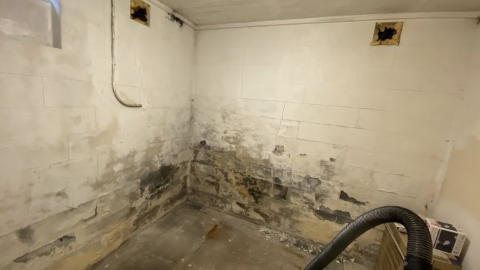 Fuktskadad källarvägg i lättbetong med synlig mögel och flagnad färg, behov av renovering.