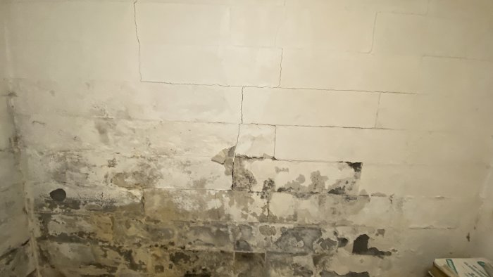 Fuktskadad lättbetongvägg med synlig mögel, avflagningar och sprickbildning i källare.