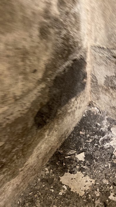 Fukt- och mögelskador på lättbetongvägg i källare med avskalad färg och synlig påverkan.