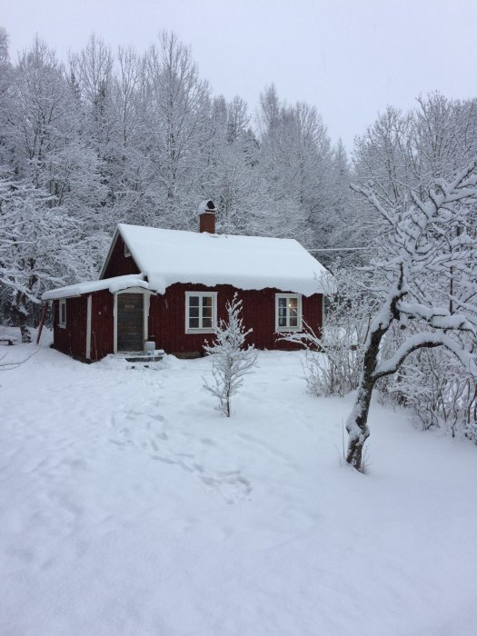 En röd stuga med snötäckt tak omgiven av snöklädda träd och mark.