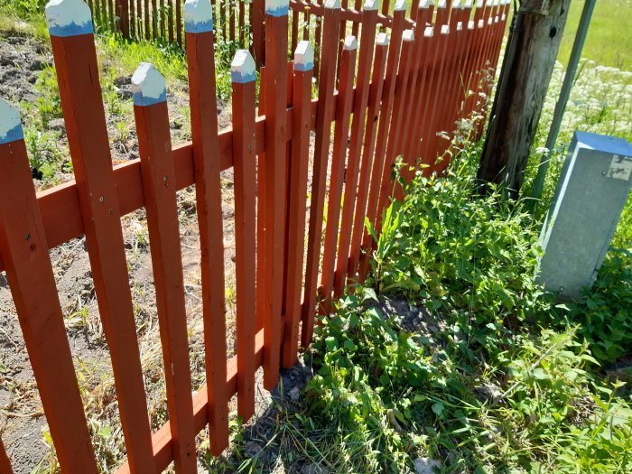 Rödmålat staket utan linoljebehandling med omålade stolptoppar mot en bakgrund av grönska.