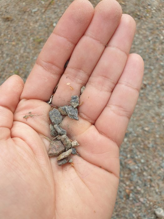 Hand som håller finkornigt grus för att demonstrera befintligt material på en uppfart.