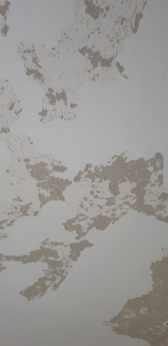 20200615_210201.jpg