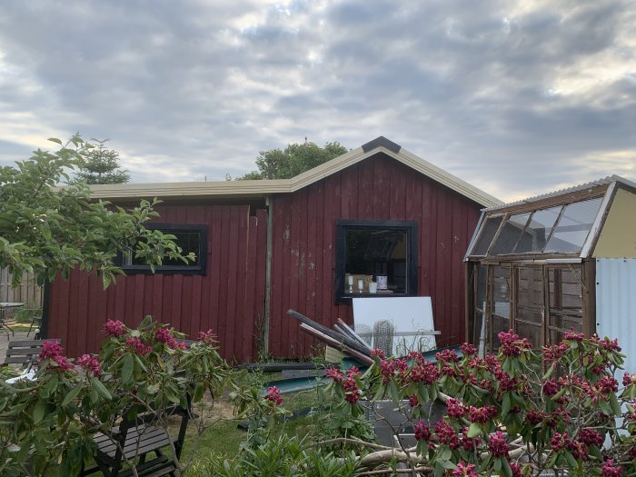 Röd trädgårdsstuga med nya vindskenor under dramatisk himmel, växtlighet i förgrunden.