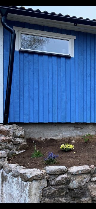 Blå trävägg ovanför en skadad mur med synlig spricka och rabatt med plantering framför.