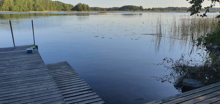 Tranquilt landskap med brygga som sträcker sig ut i en spegelblank sjö med näckrosblad och skog i bakgrunden.