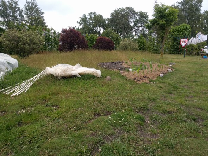 Oanvänt gräsområde med startat trädgårdsland och material för avgränsning på marken.
