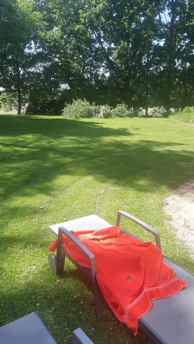 Solstol med röd handduk på välskött gräsmatta, träd och blommande buskar i bakgrunden.