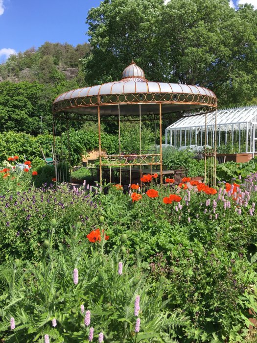 Trädgårdsbild med ett blommande växthus i bakgrunden och en dekorativ paviljong omgiven av grönska och blommor i förgrunden.