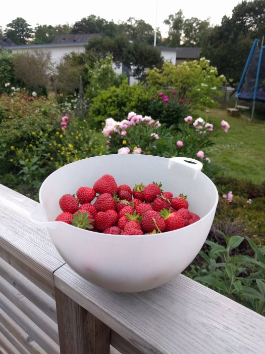 En skål med jordgubbar på en träbalustrad med en trädgård i bakgrunden.