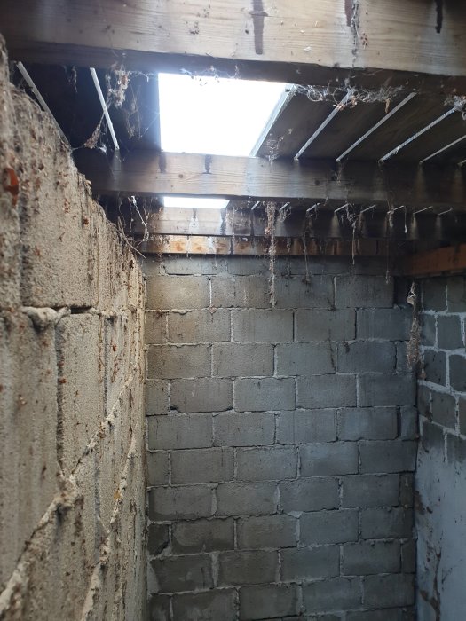 Rivning av golv i entré visar dolt utrymme med betongväggar och synliga träbjälkar.