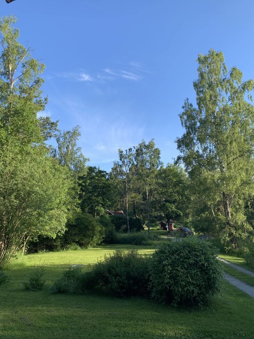 Sommarvy av en park med gröna träd, en gångväg och några tunna strimmor av moln mot en klarblå himmel.